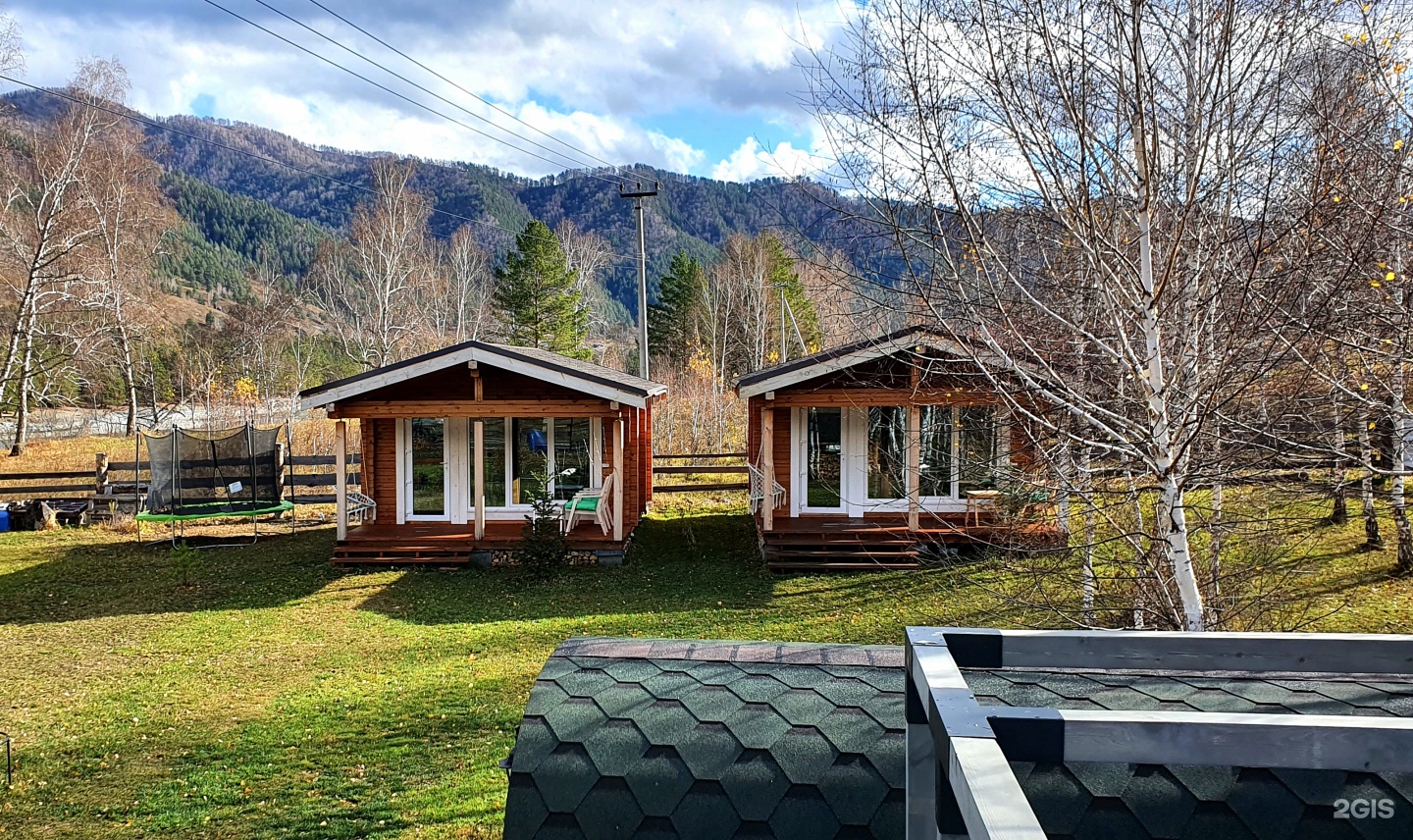 Altai ForRest - фото 81