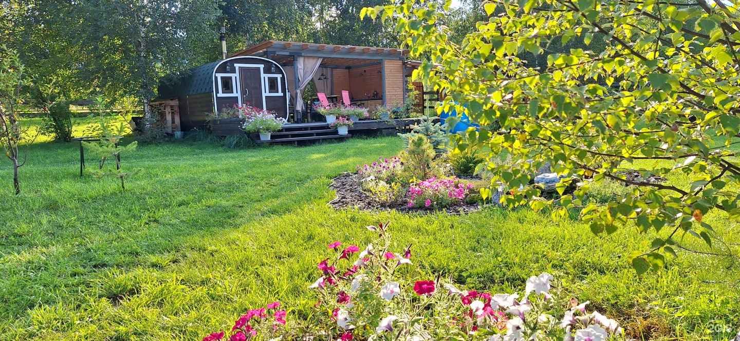 Altai ForRest - фото 82