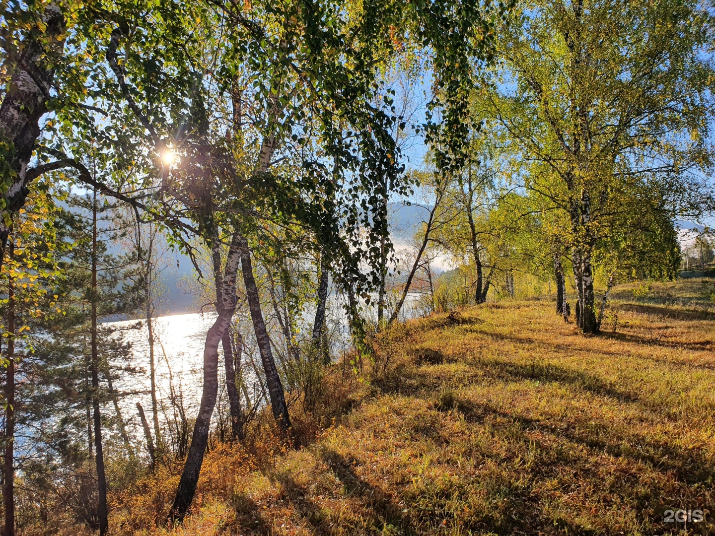 Altai ForRest - фото 84