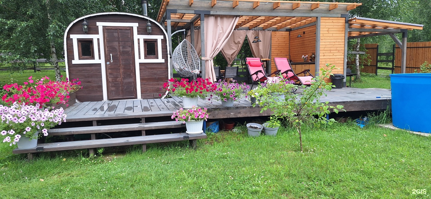 Altai ForRest - фото 90