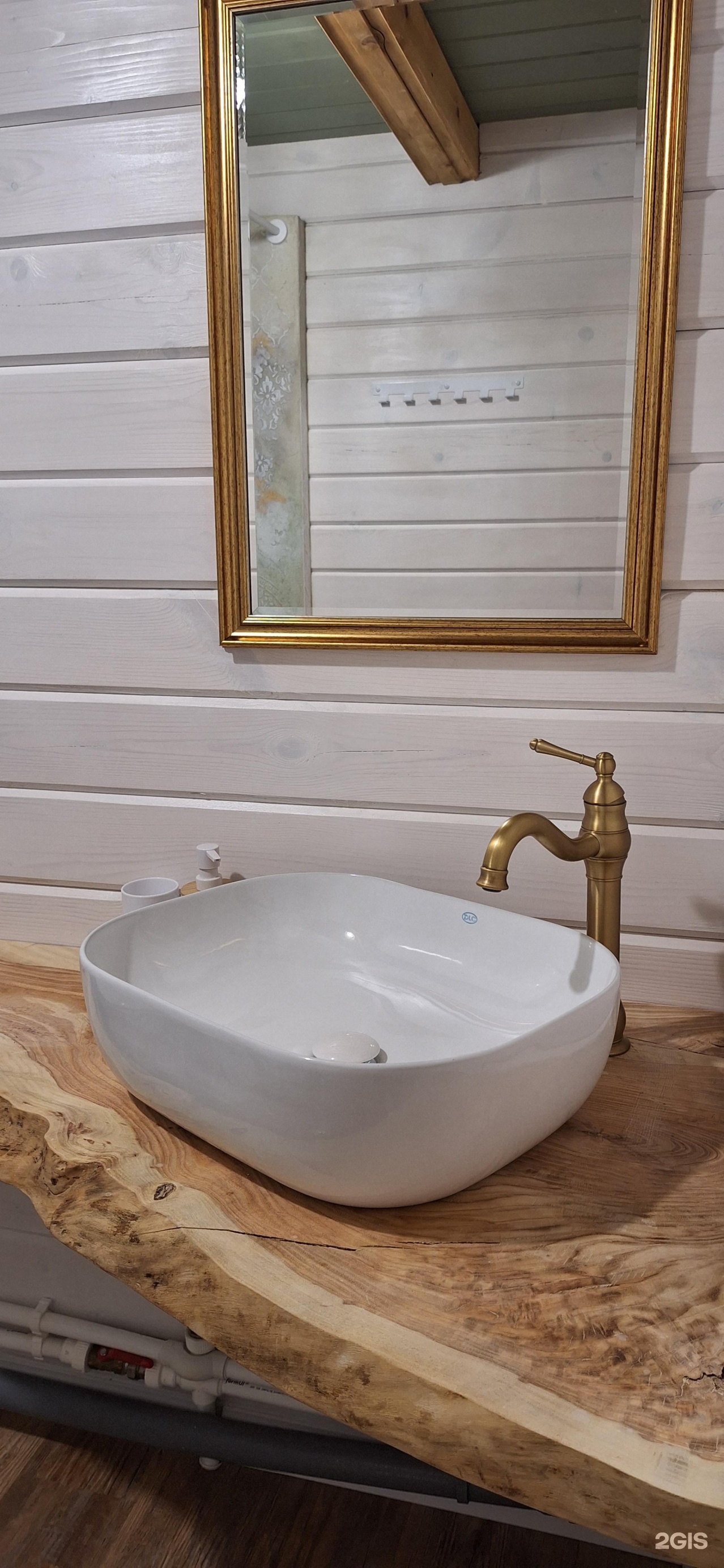 Altai ForRest - фото 93