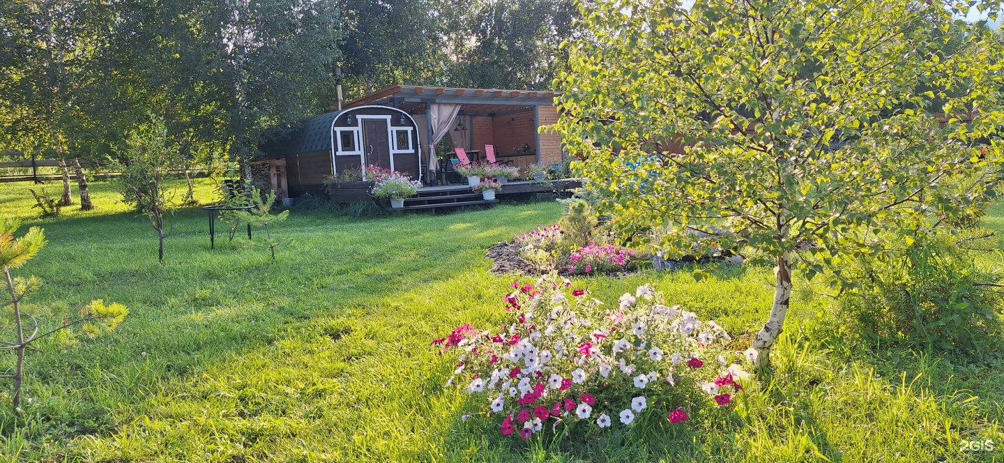 Altai ForRest - фото 96