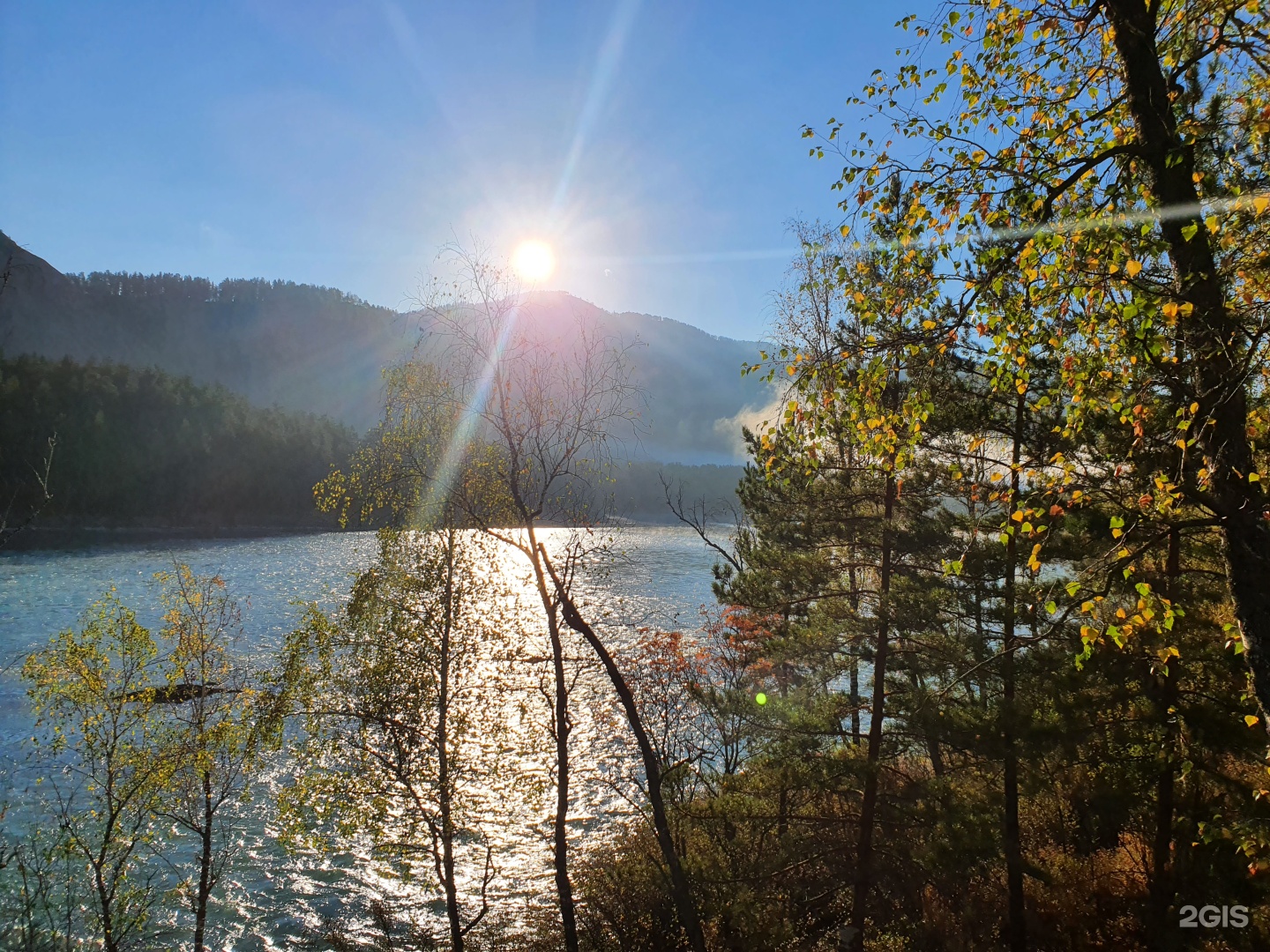 Altai ForRest - фото 98