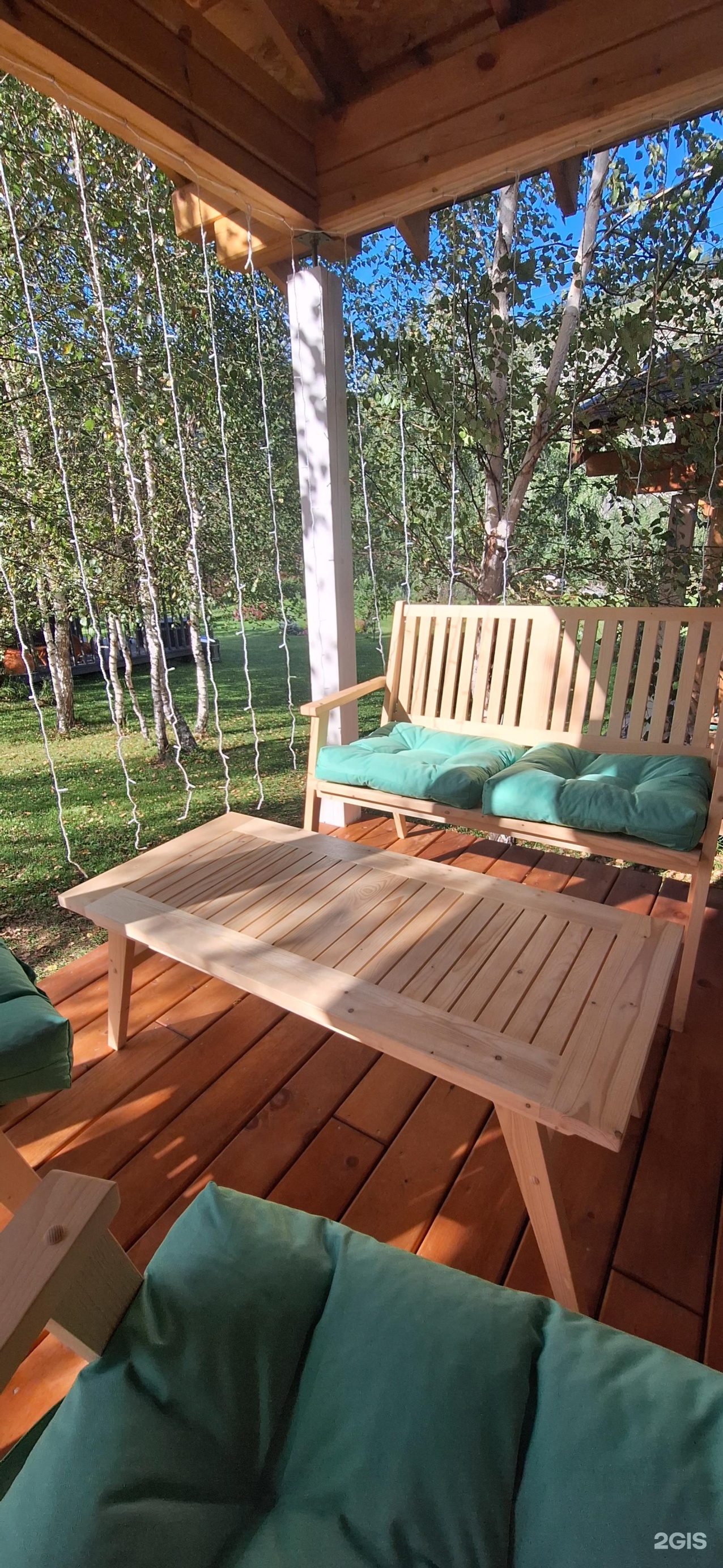 Altai ForRest - фото 103