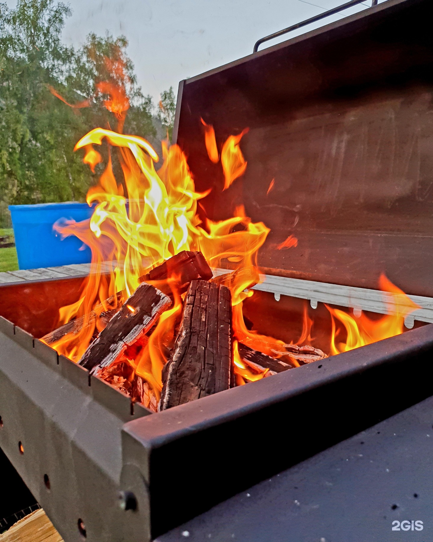 Altai ForRest - фото 105