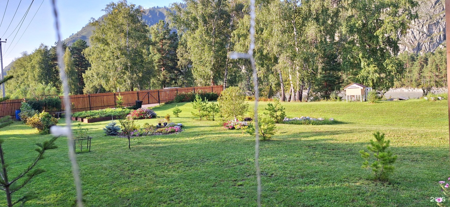 Altai ForRest - фото 112