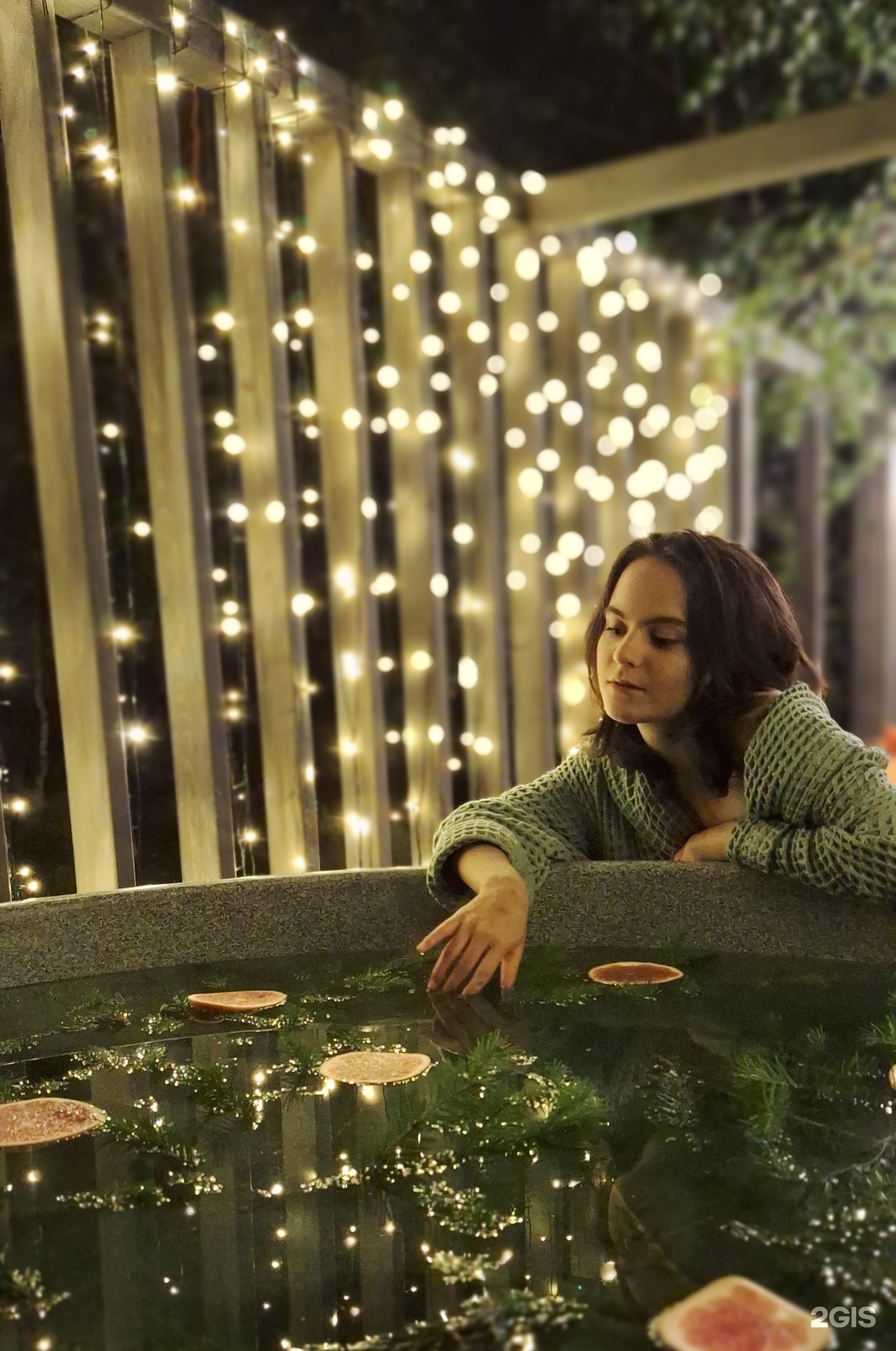 Altai ForRest - фото 125