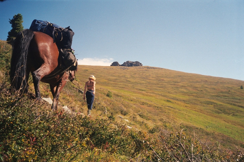 На лошадях к Белухе - фото 4