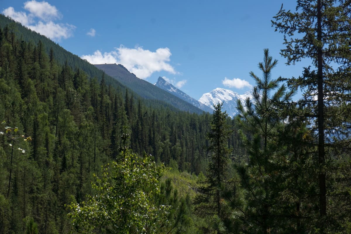 Школа альпинизма на Белухе - фото 2