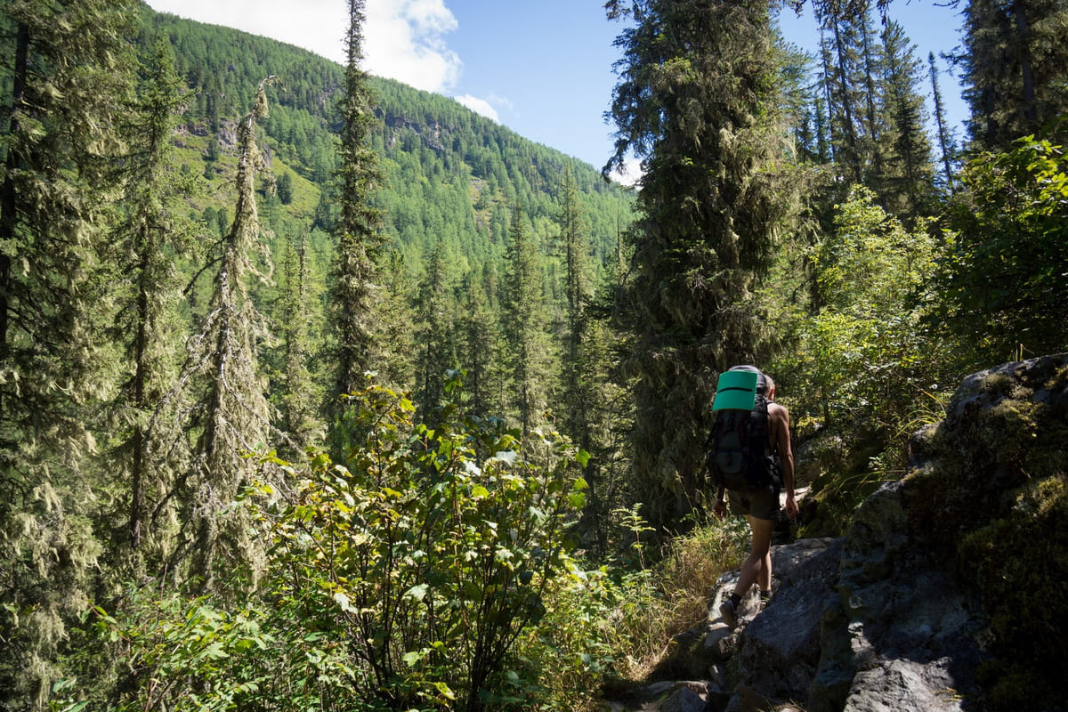 Школа альпинизма на Белухе - фото 6