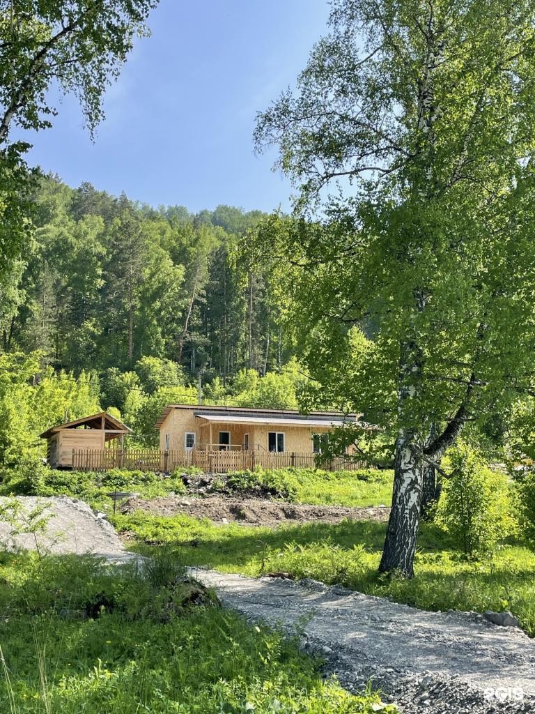 Ель и Пень - фото 2