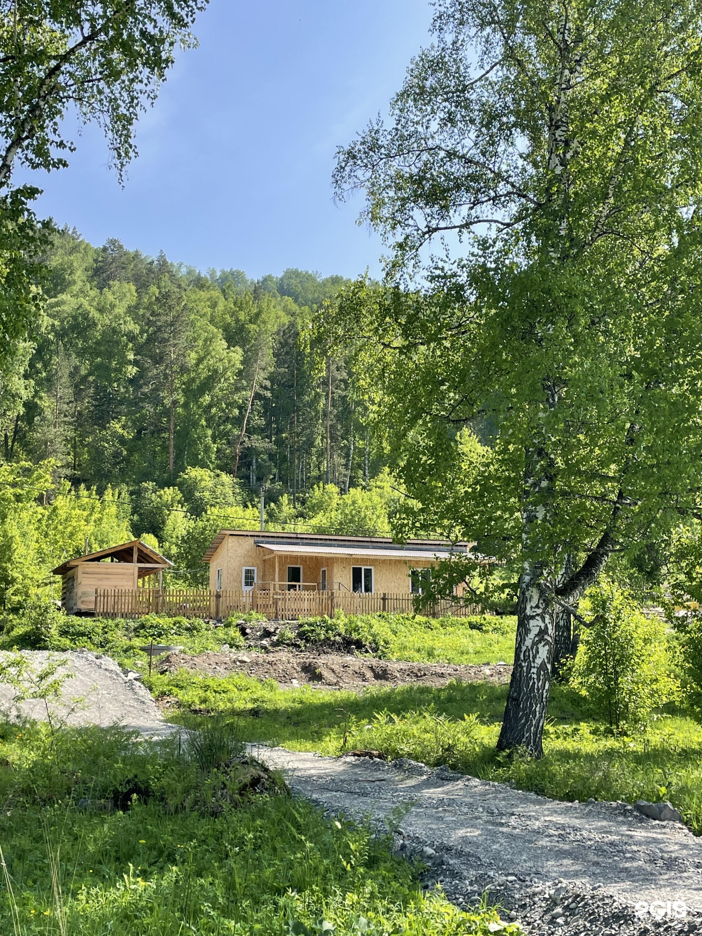 Ель и Пень - фото 2