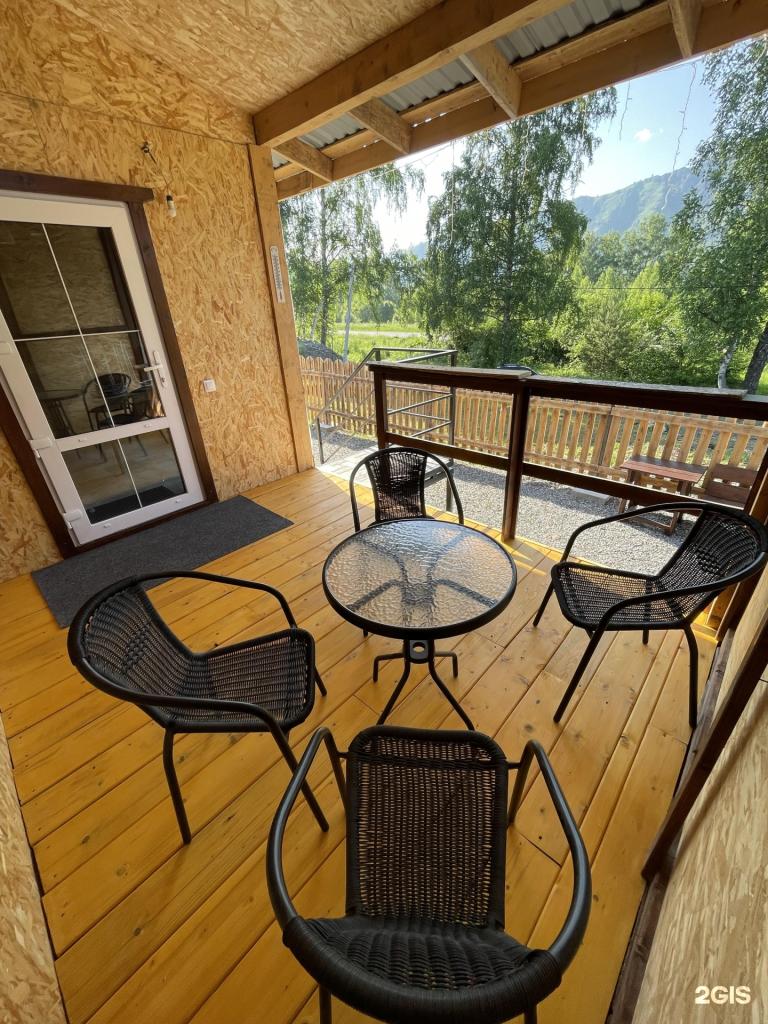 Ель и Пень - фото 3