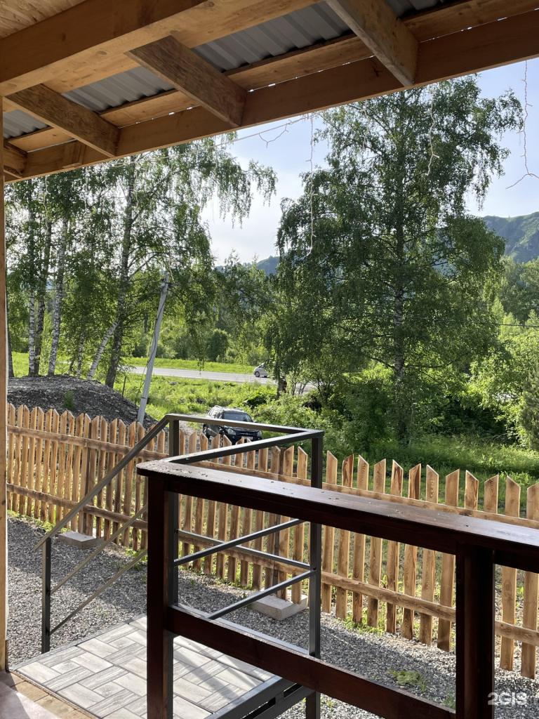 Ель и Пень - фото 4