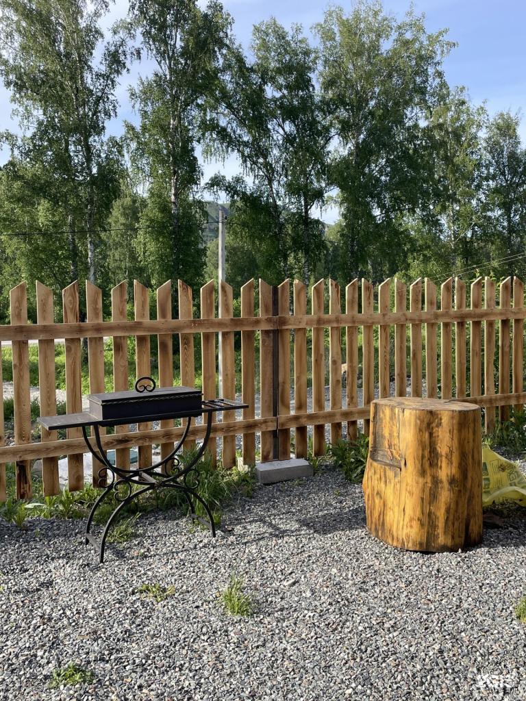 Ель и Пень - фото 5