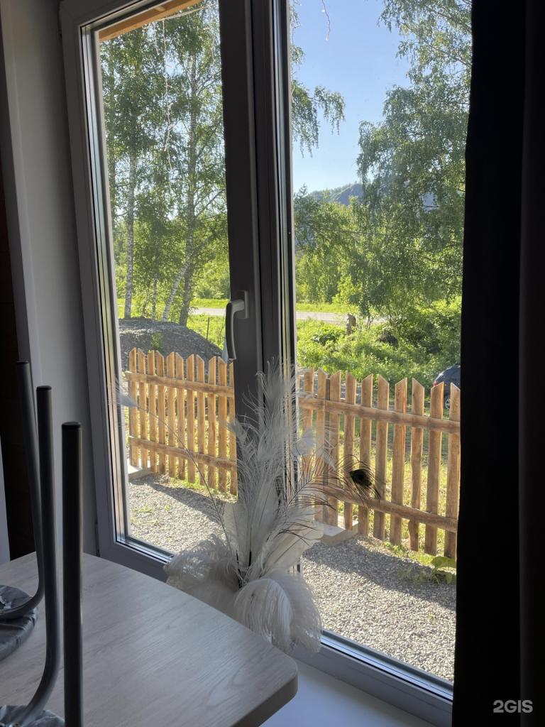 Ель и Пень - фото 6