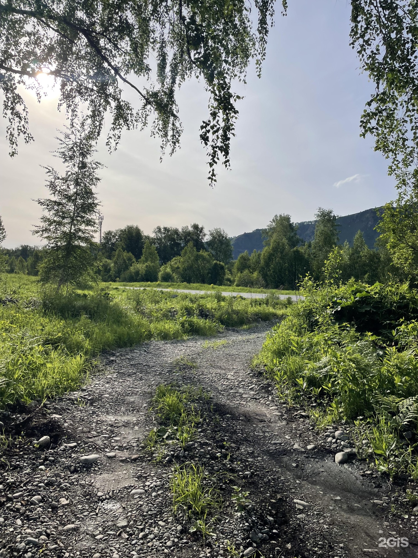 Ель и Пень - фото 9