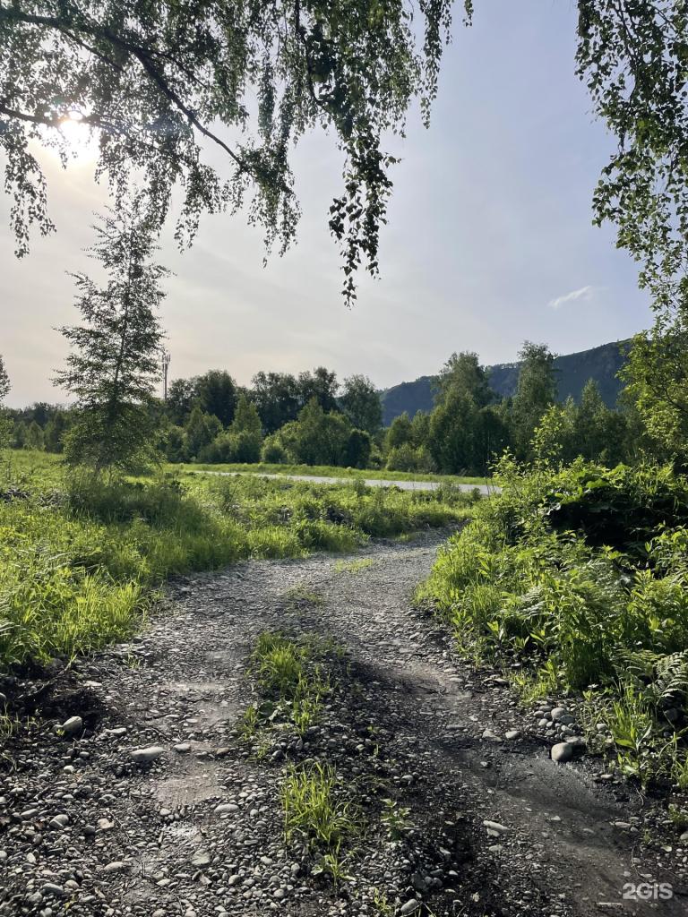 Ель и Пень - фото 9