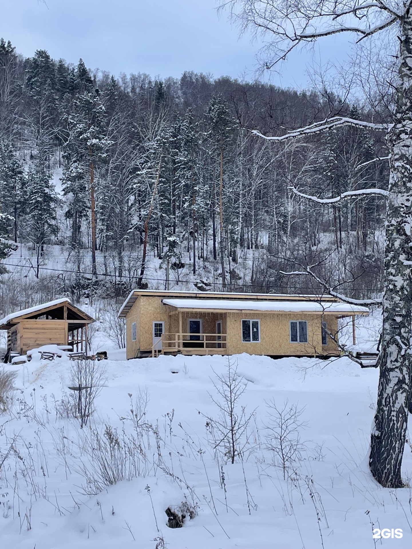 Ель и Пень - фото 14