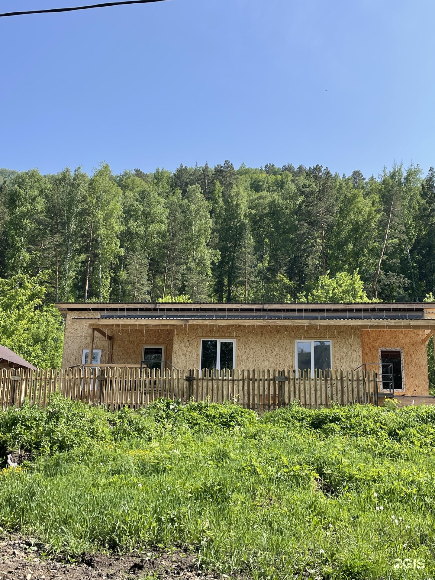 Ель и Пень - фото 15