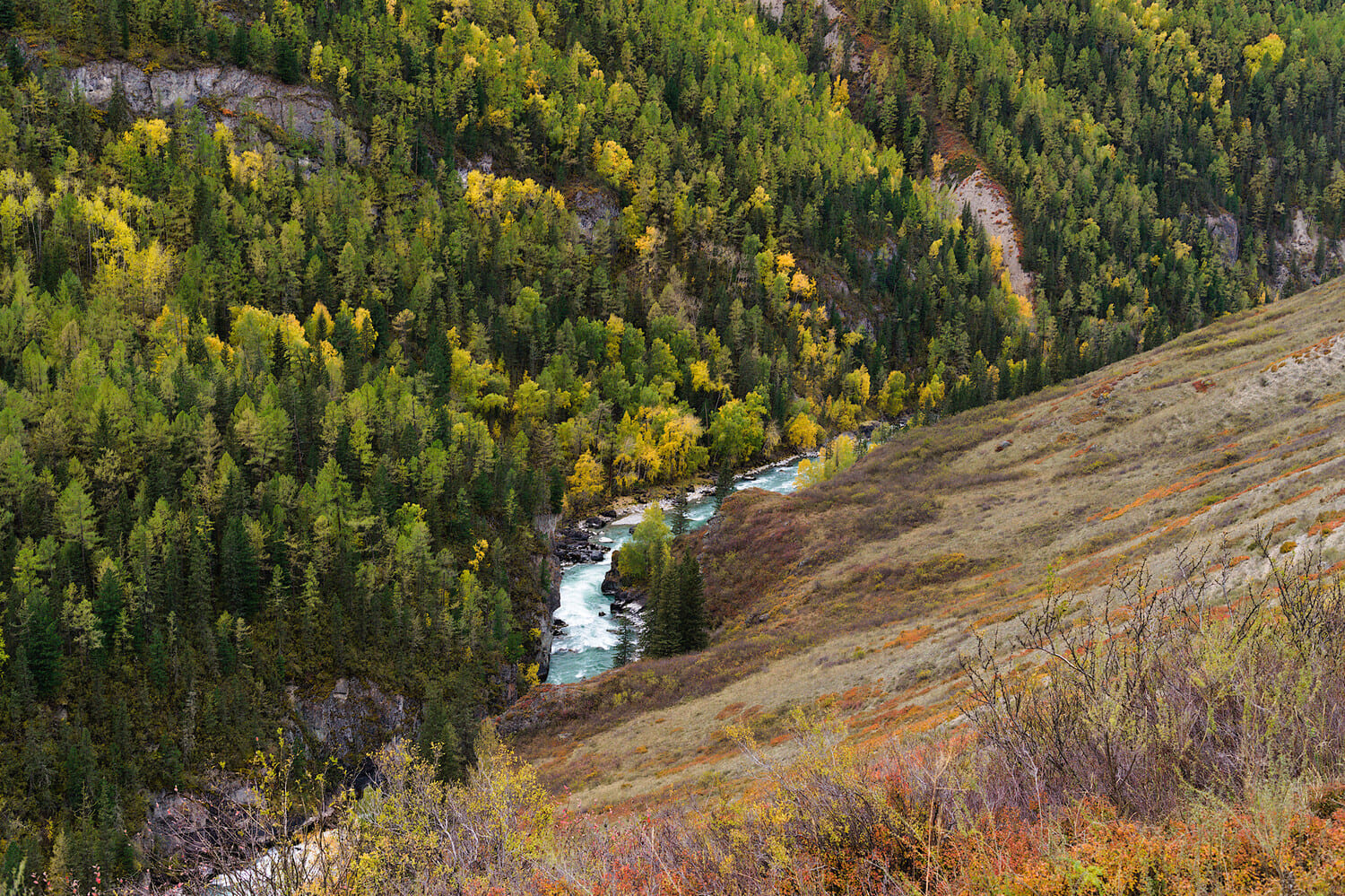 Алтай: 5 дней, 5 тайн - фото 10