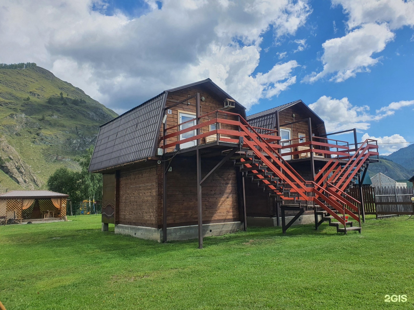 Золотой медведь - фото 1