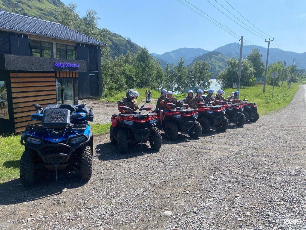 Золотой медведь - фото 2