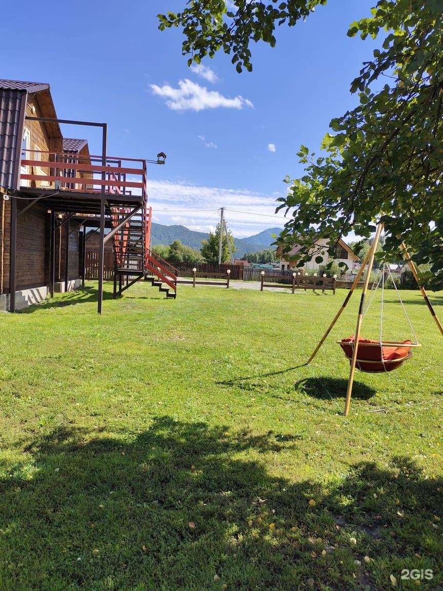 Золотой медведь - фото 7