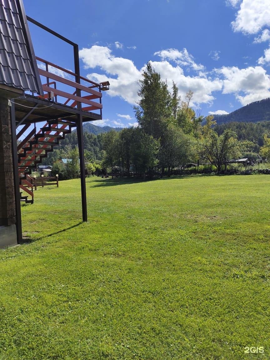 Золотой медведь - фото 12