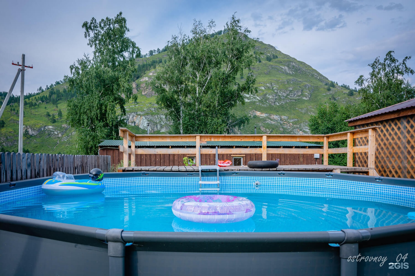 Золотой медведь - фото 17