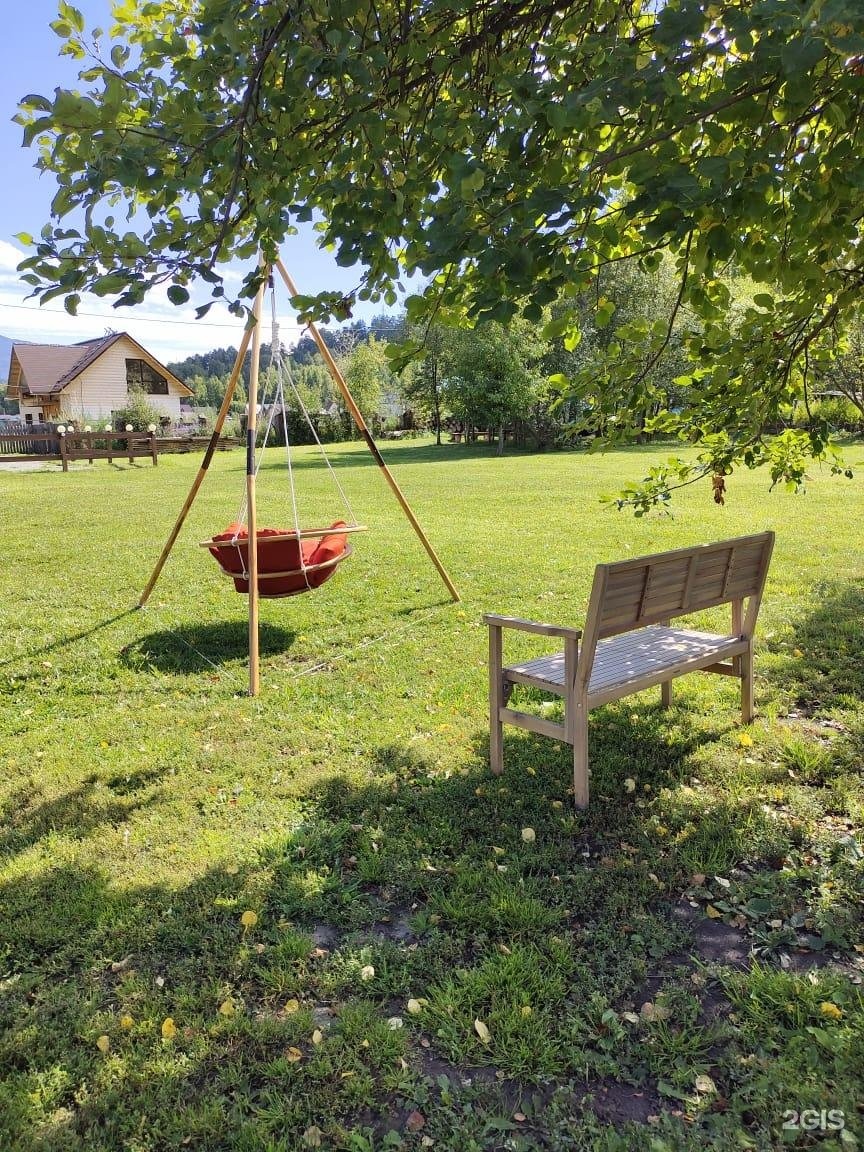 Золотой медведь - фото 18