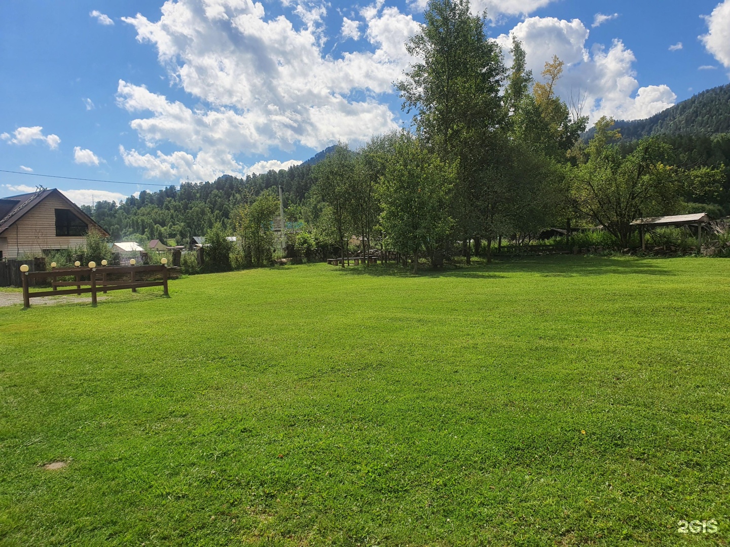 Золотой медведь - фото 19