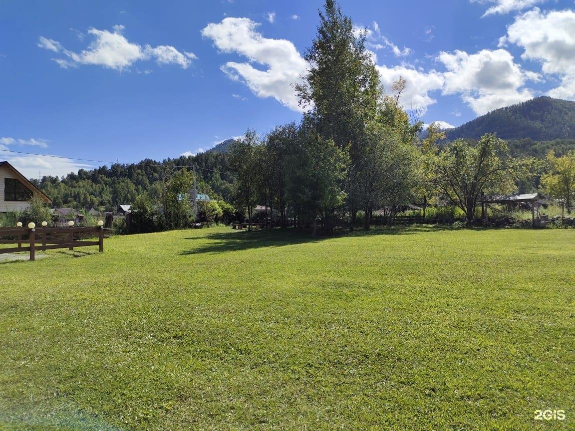 Золотой медведь - фото 21