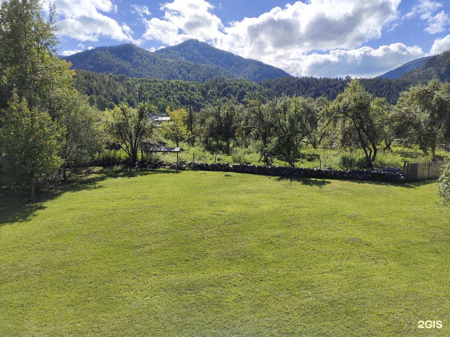 Золотой медведь - фото 22