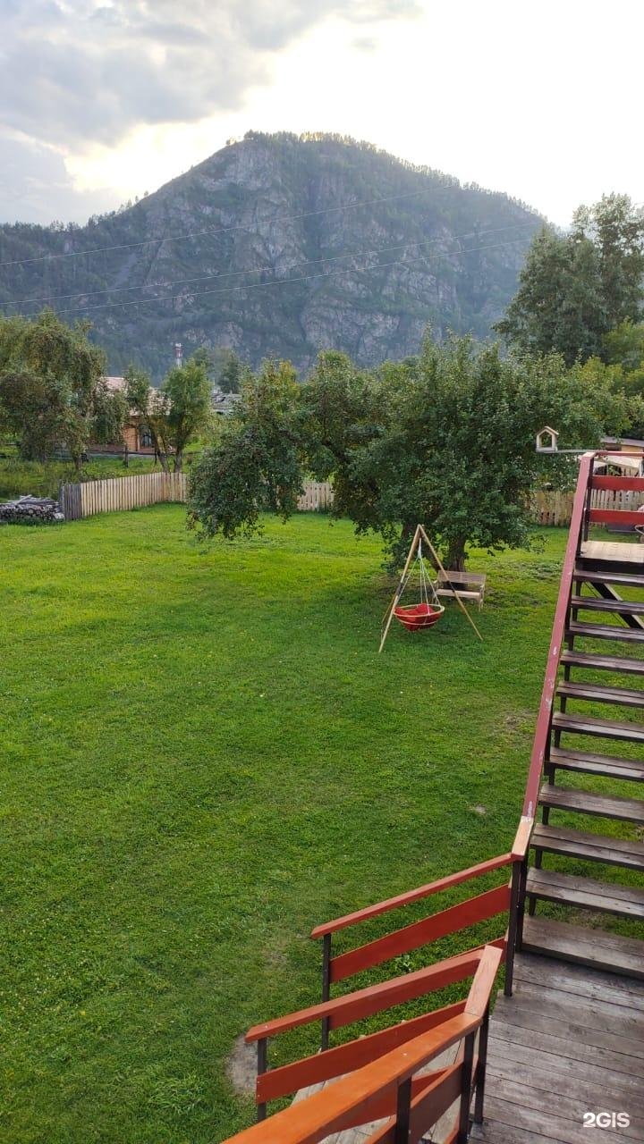 Золотой медведь - фото 34