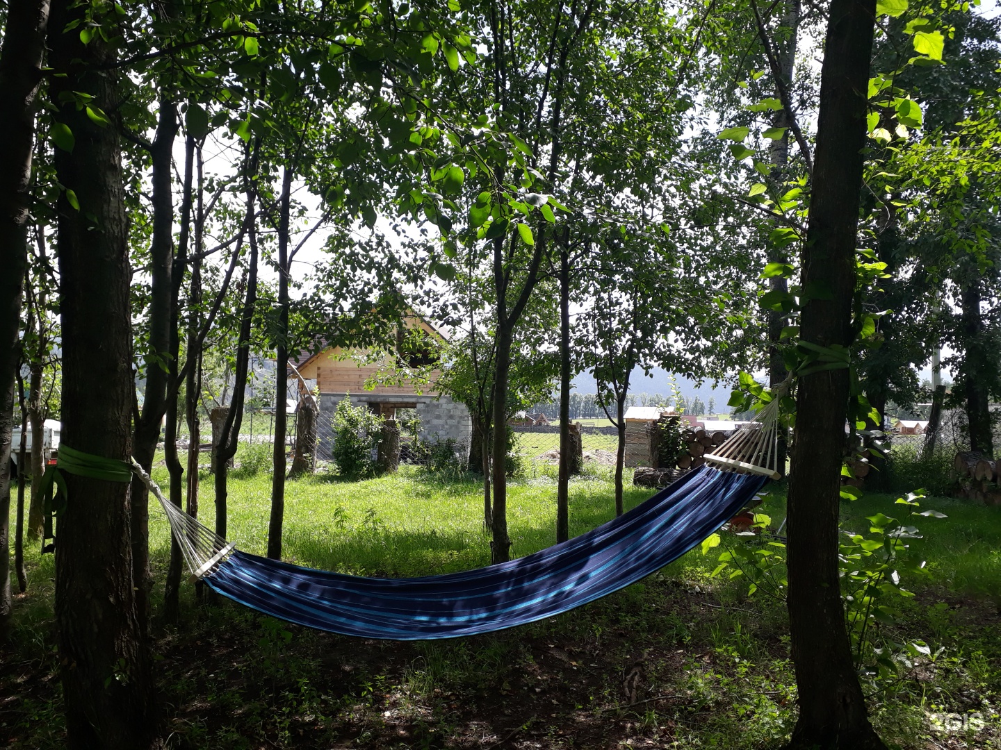 Золотой медведь - фото 43