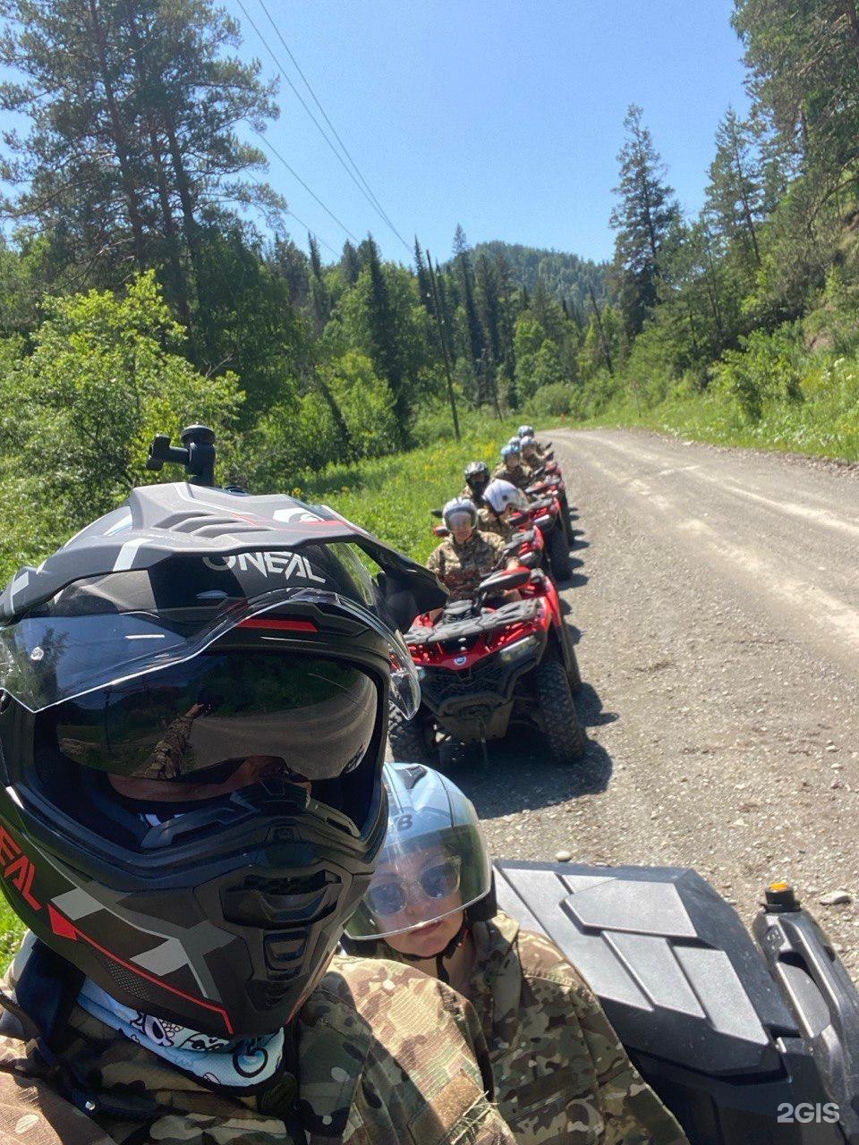 Золотой медведь - фото 45