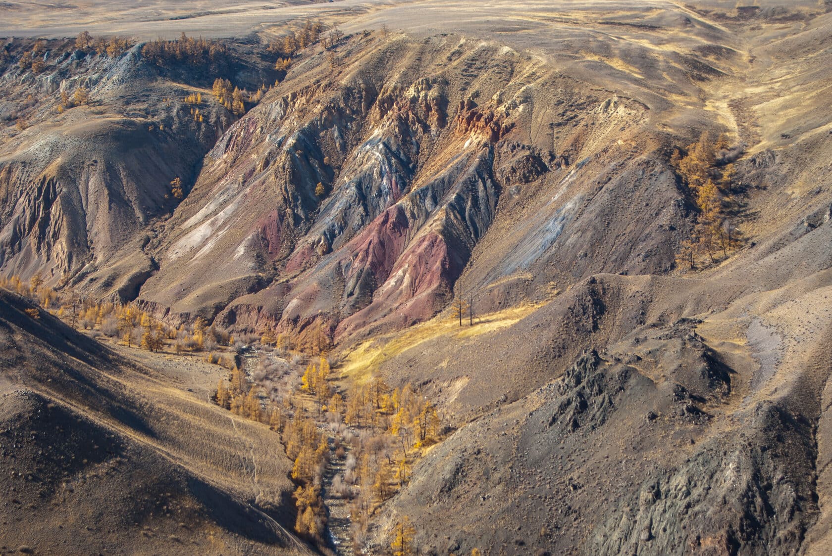 ЗОЛОТО ОСЕНИ - фото 6