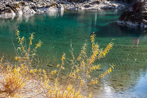 ЗОЛОТО ОСЕНИ - фото 7