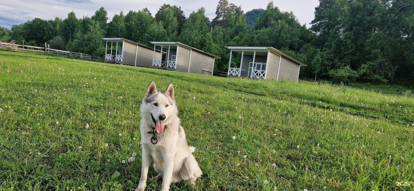 Апартаменты на Анос, Центральная 130 - фото 3