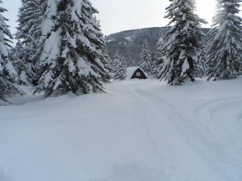 К заповедным уголкам на снегоходе:озеро Тальмень - фото 6