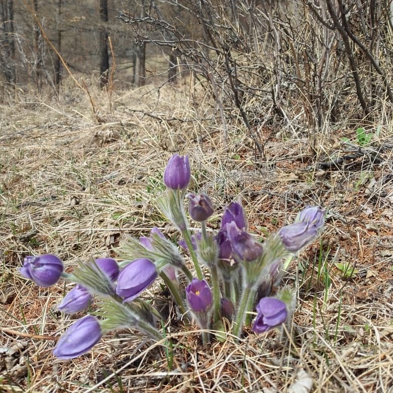 Семейные забавы - фото 2