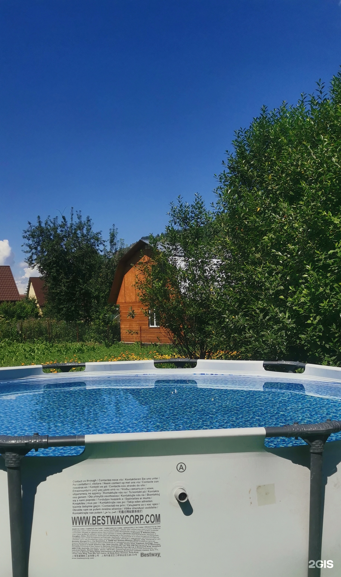 Алтион - фото 3