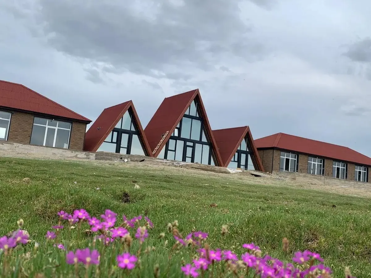 Архар - фото 1