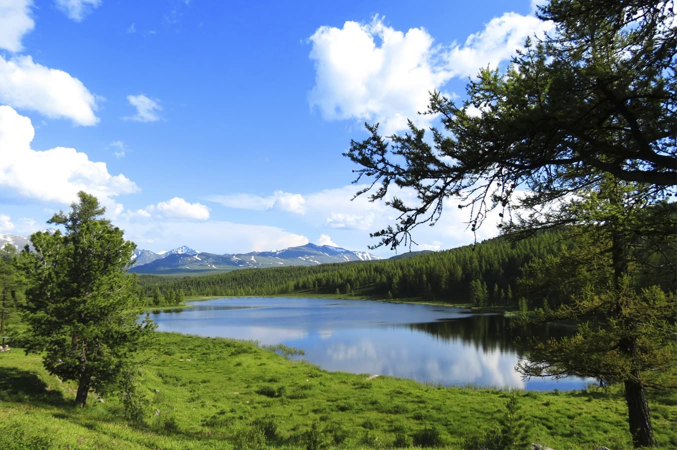 Телецкое озеро – Актру – плато Укок - фото 6