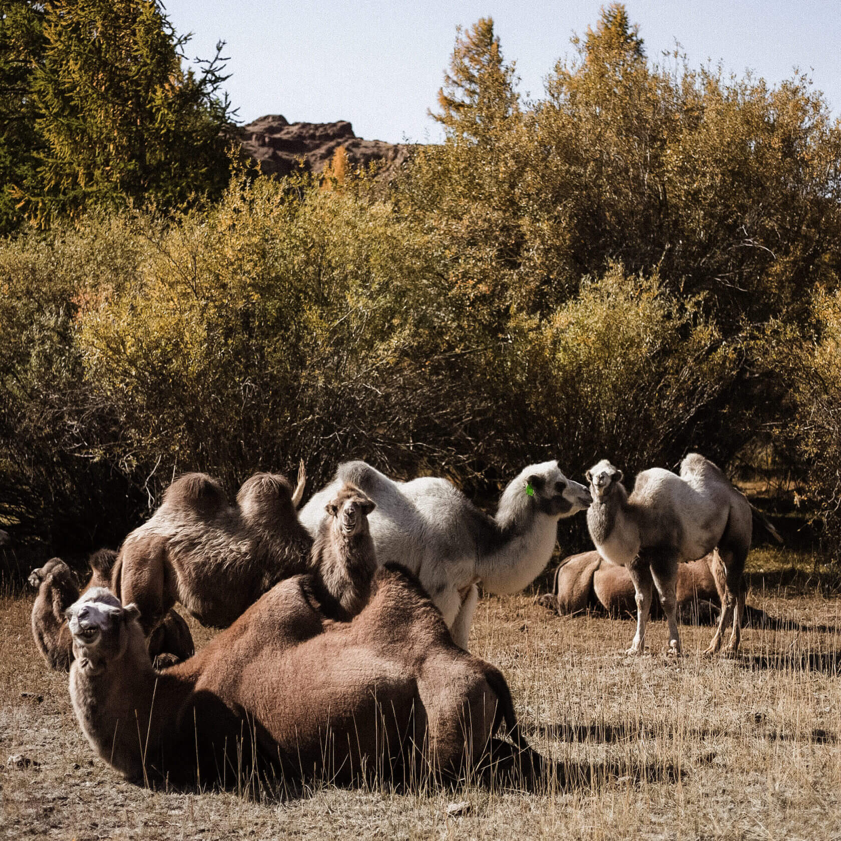Осенний тур по Горному Алтаю - фото 3