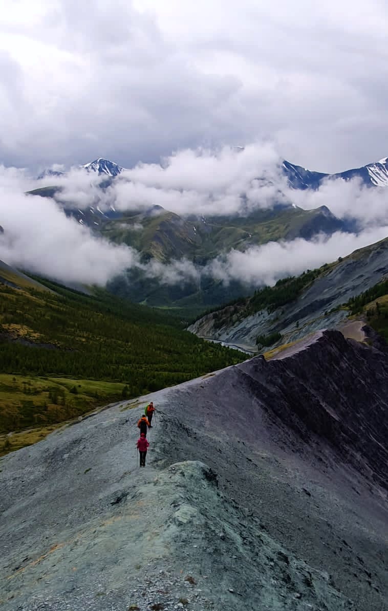 К Белухе - фото 4