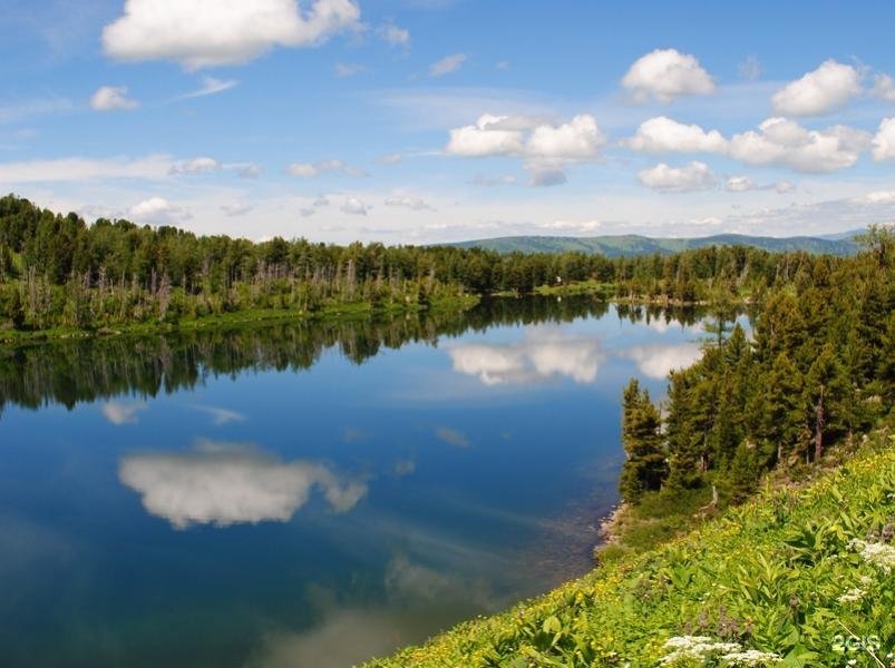 Уймонская Жемчужина - фото 28