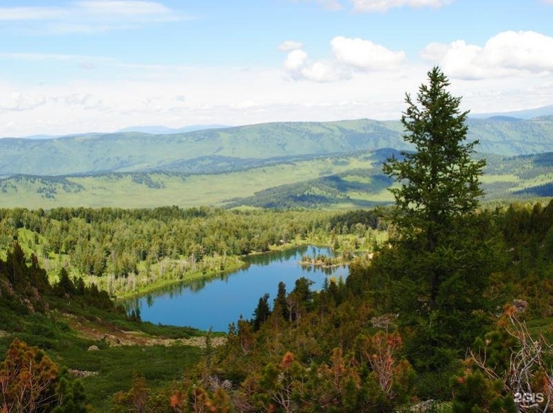 Уймонская Жемчужина - фото 29