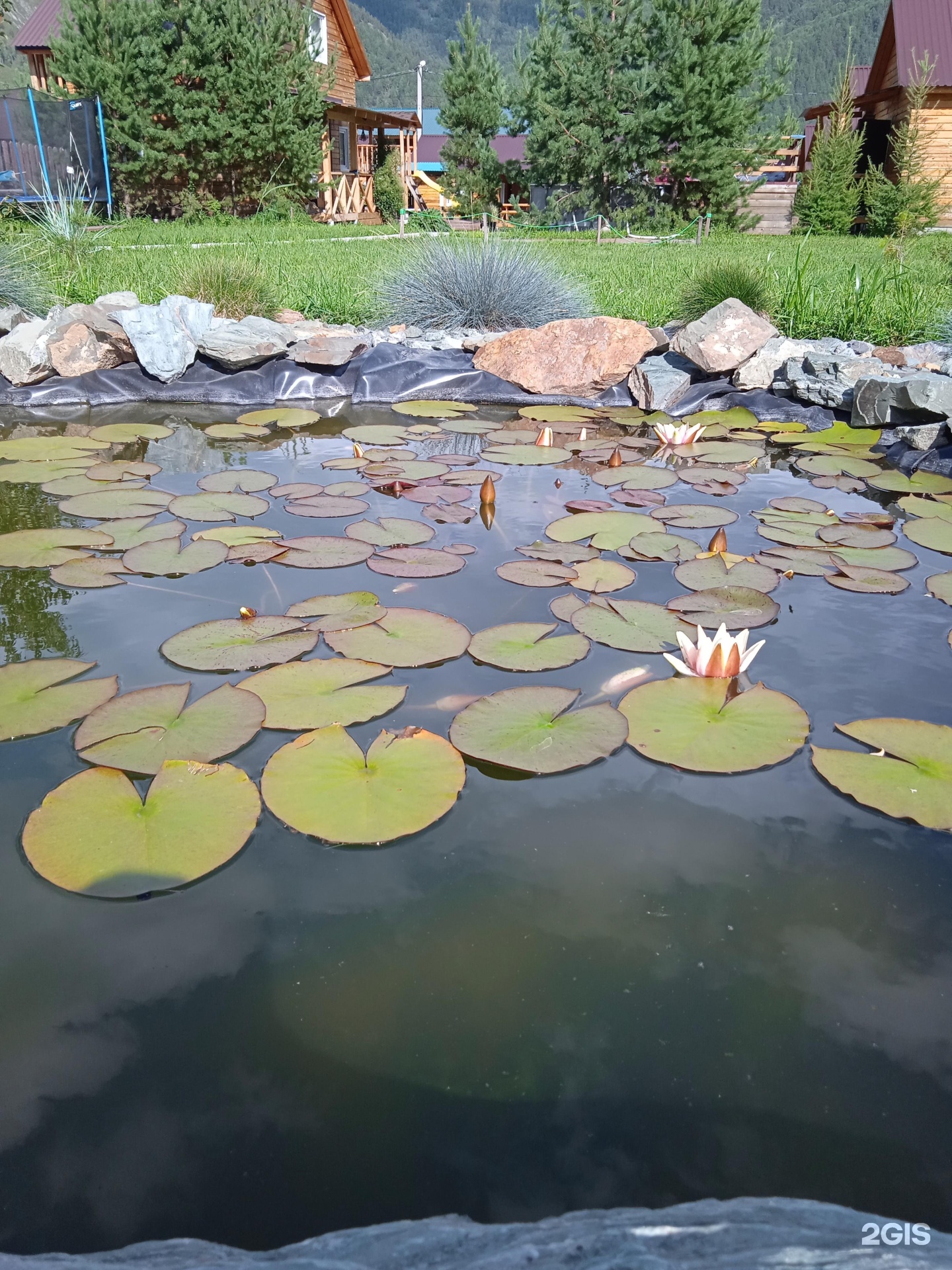 Рублёвка - фото 22